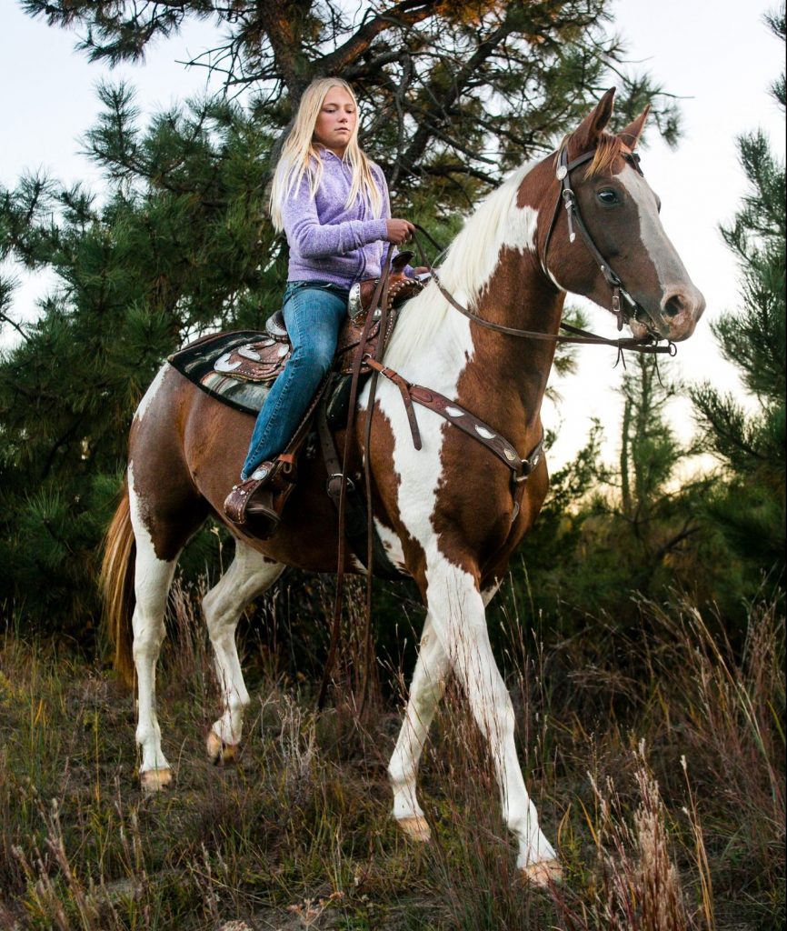 A girl trail riding on a paint horse.