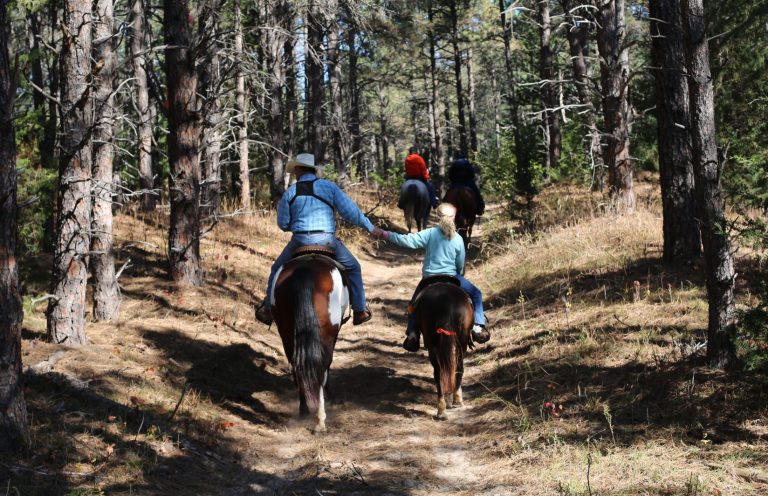 A father and daughter holding hands while on horseback.