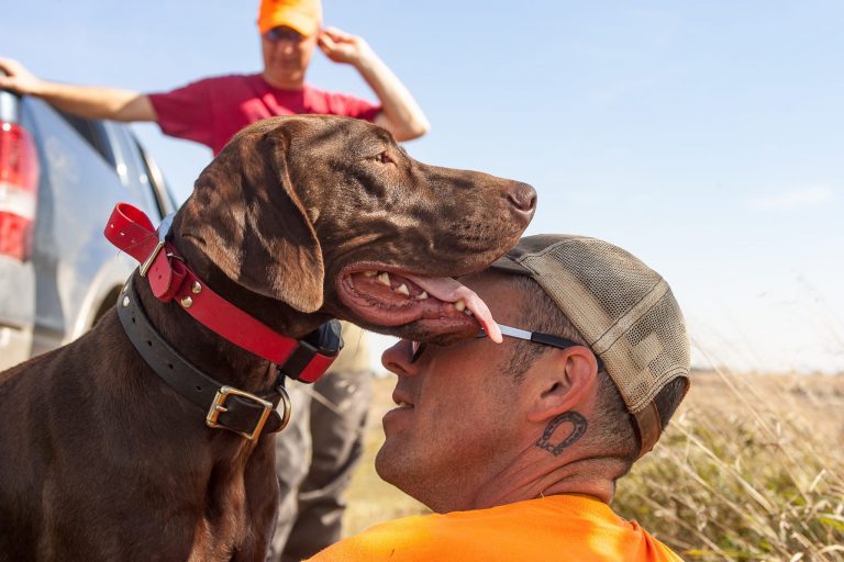 A German short-haired pointer with his owner.