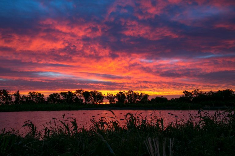 Sunrise on a pond with duck decoys.