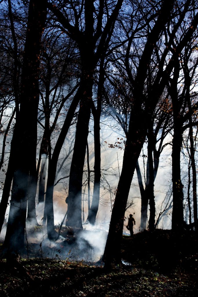 A biologist in the woods during a prescribed burn.