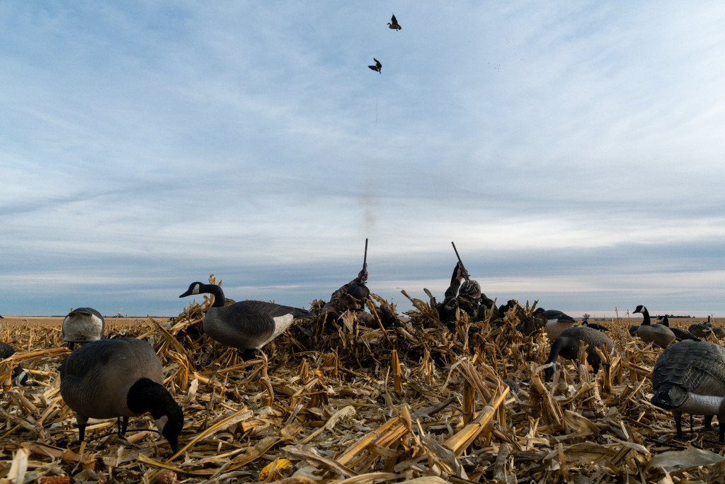 Goose hunting