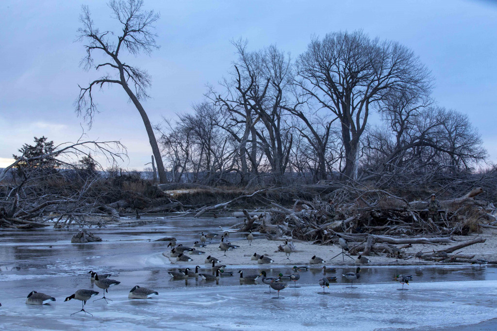 Ducks on a frozen Elkhorn River.