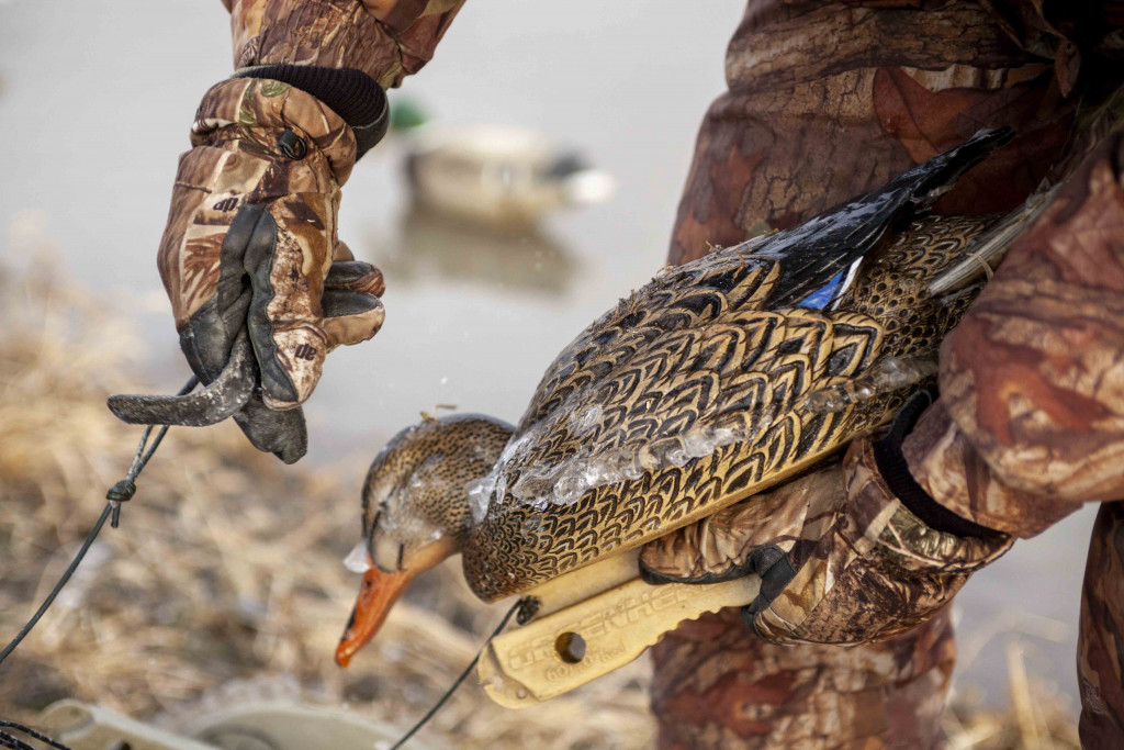 Ice on a duck decoy.