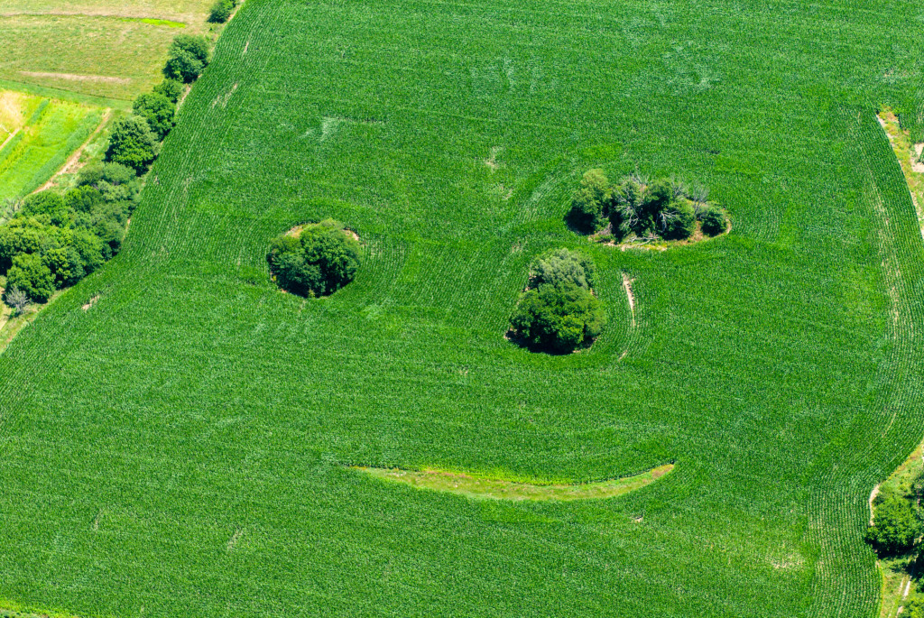 Smile pattern in field