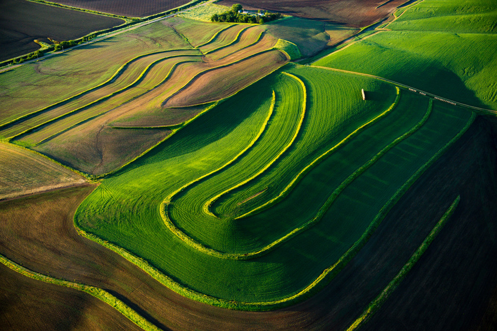 Terraced crop field aerial