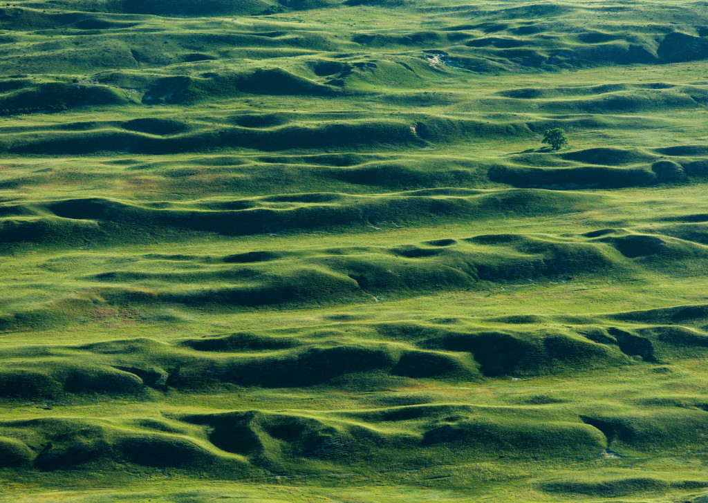 Sandhills aerial