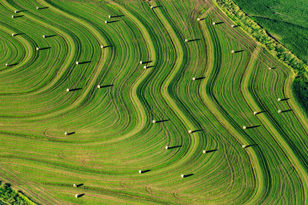 Hay field aerial