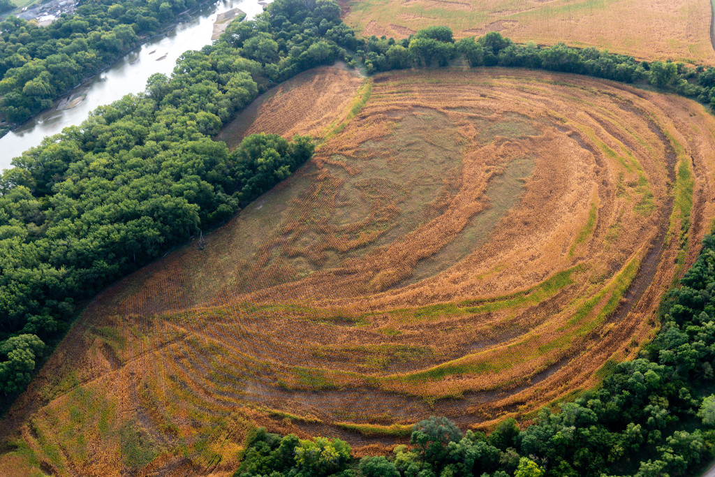 Crop field patterns