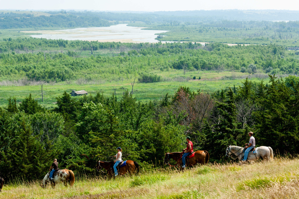 horse trail ride