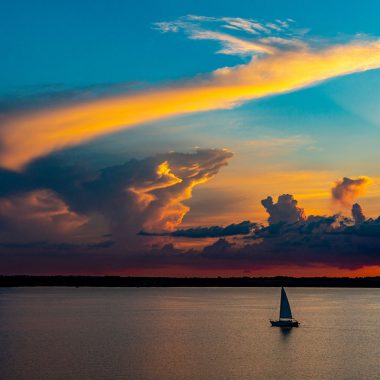 Branched Oak SRA sailboat