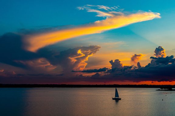 Branched Oak SRA sailboat