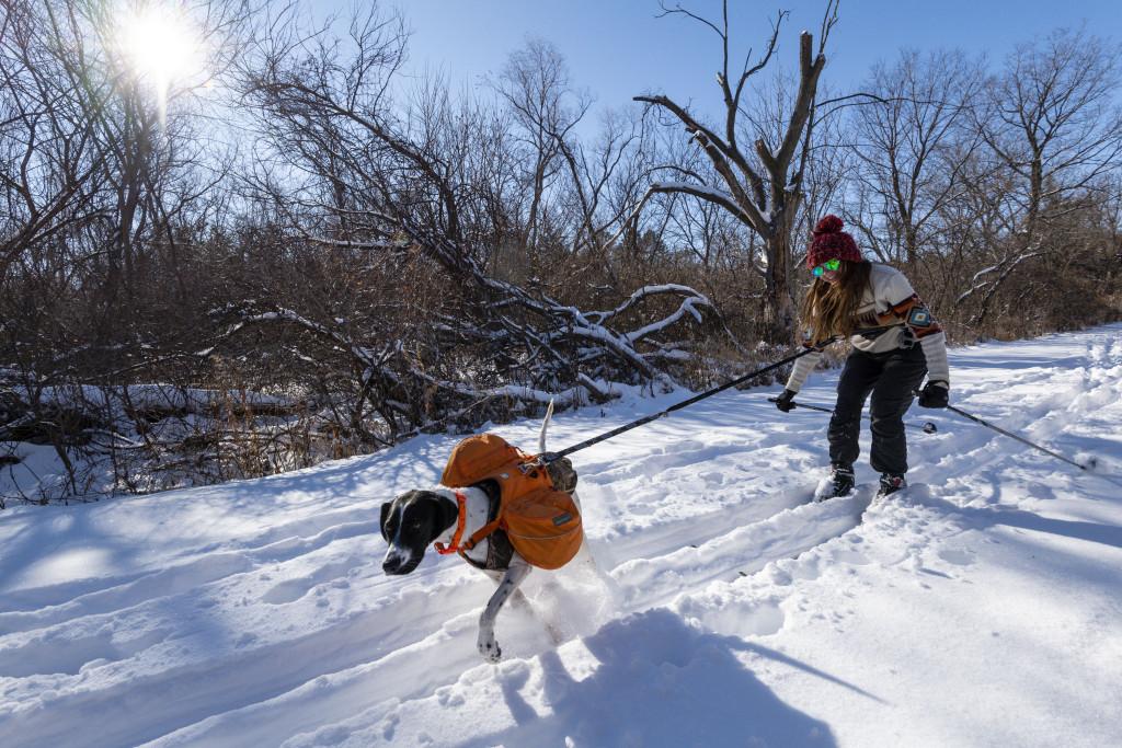 Cross-country skiing