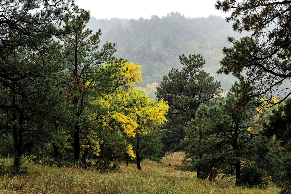 Long Pine Creek canyon