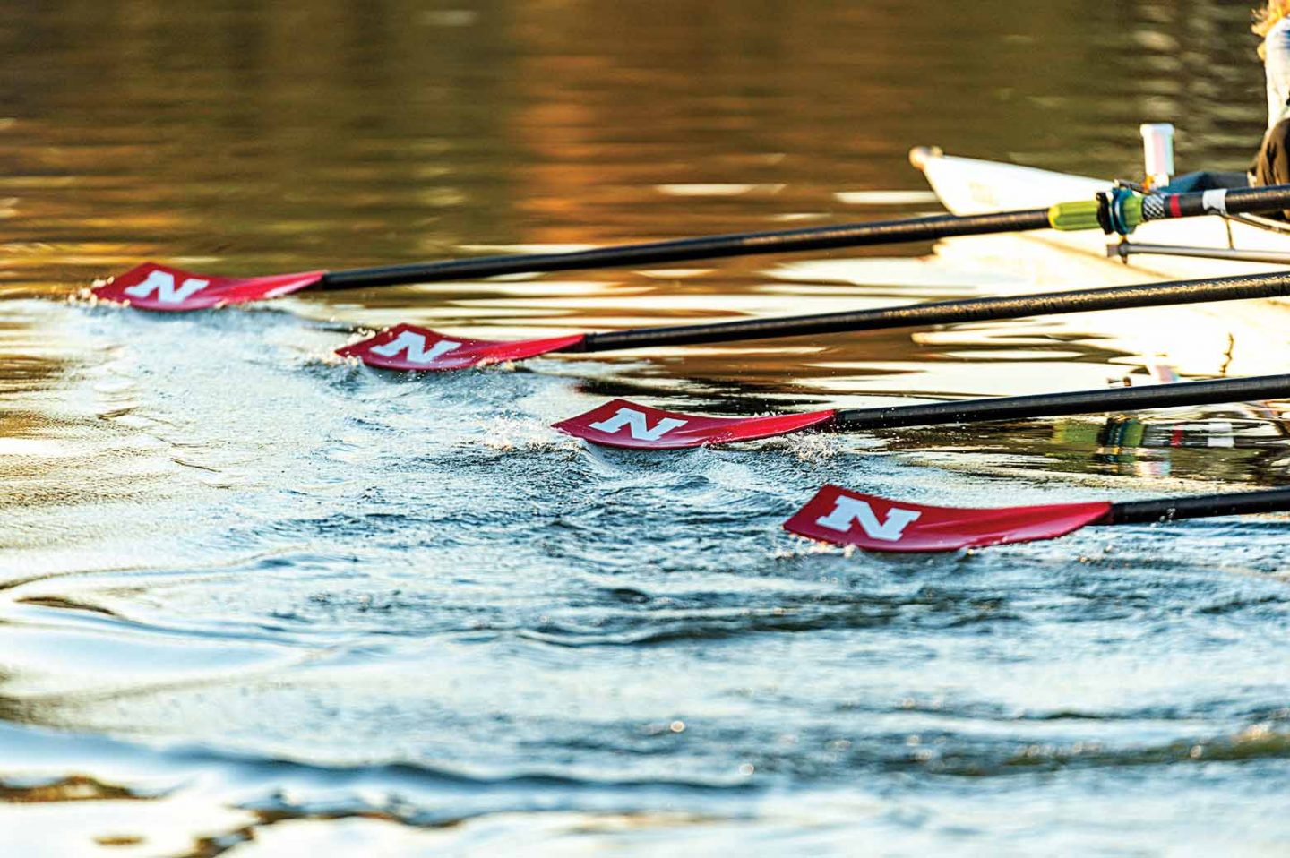 UNL crew oars