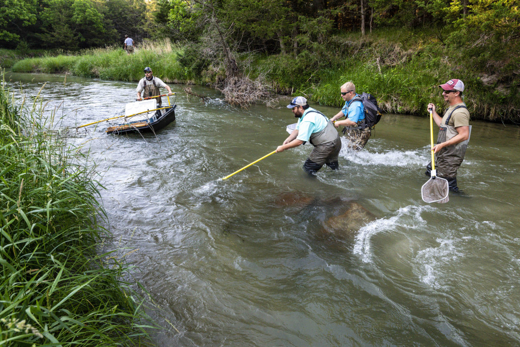 Long Pine Creek fish sampling