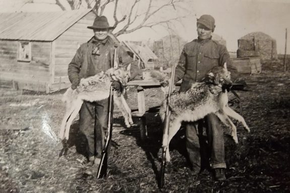 Vintage photo of two men with harvested coyotes in Nebraska.