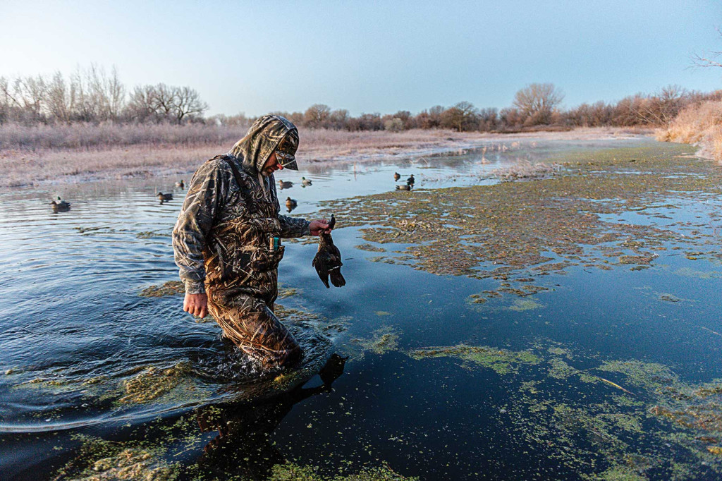 Duck hunting at Red Wing