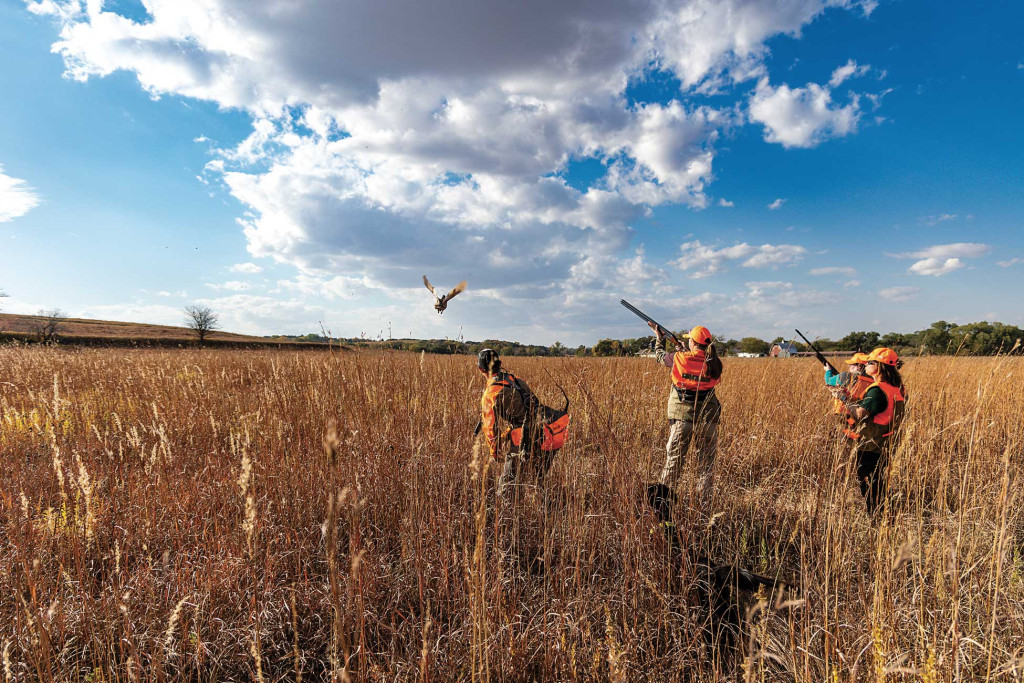 A group of women on a guided pheasant hunt. A pheasant flushing.