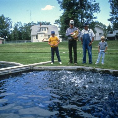 Feeding fish at Crawford Hatchery