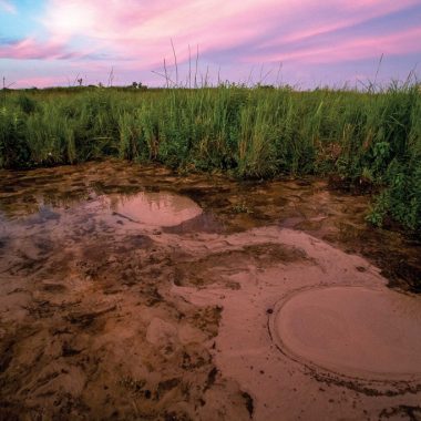 A purple and pink sunset sky enhance the color of a brown gurgling wetland