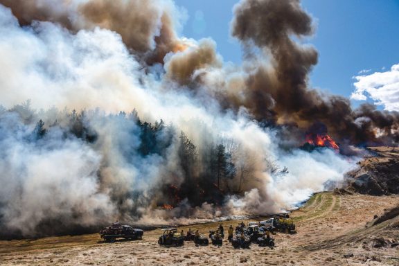 prescribed fire cedar