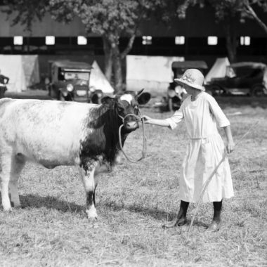 A woman poses with her 1st Heifer Calf Club at the Nebraska State Fair, 1924.