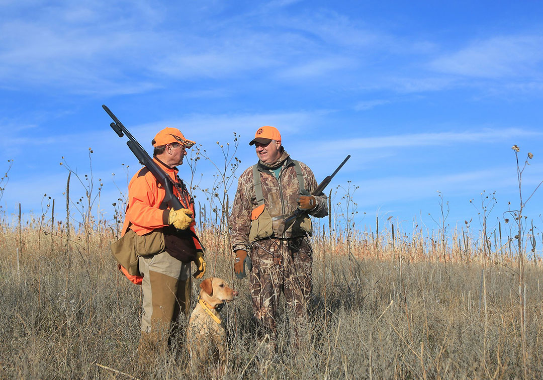 Two men and a dog upland hunting