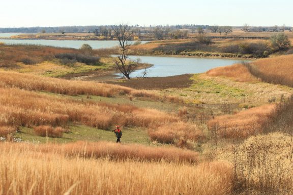 An upland bird hunter at Sherman Reservoir.