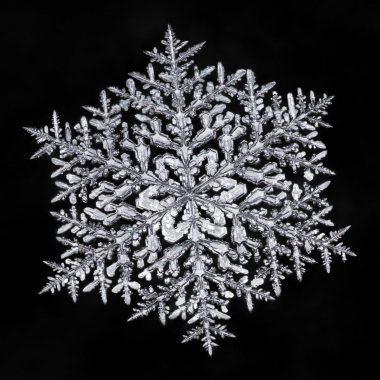 A macro photo of a snowflake.