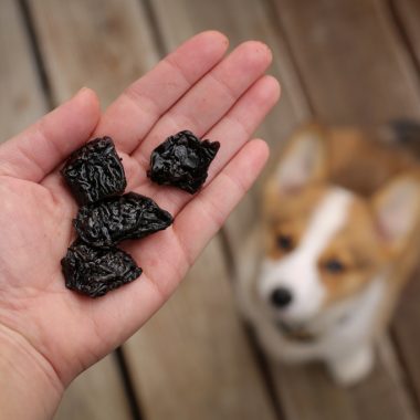 Deer liver chews for dogs.