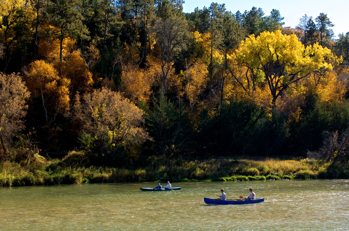 People canoeing and kayaking on a rive with autumn trees in the background.