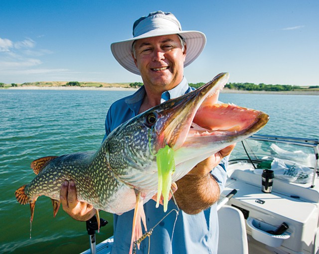 Lake McConaughy northern pike