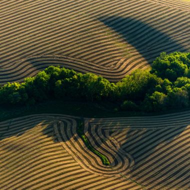 aerial photography patterns crop field