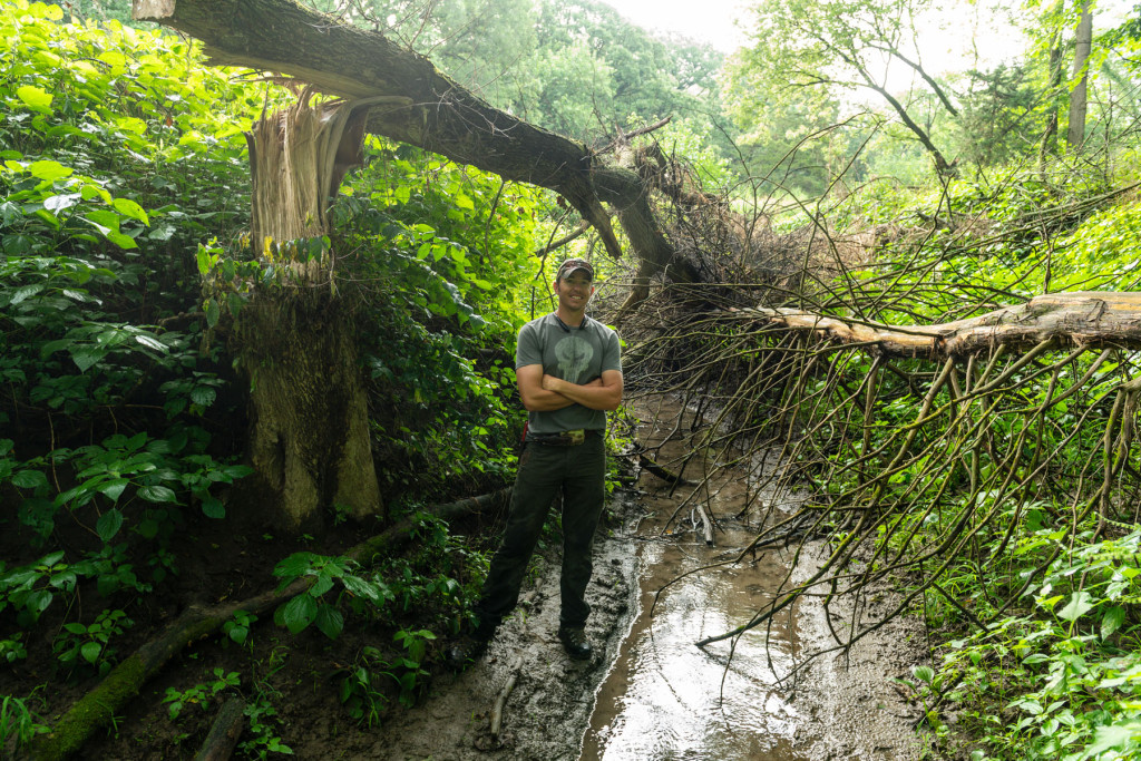 stream habitat