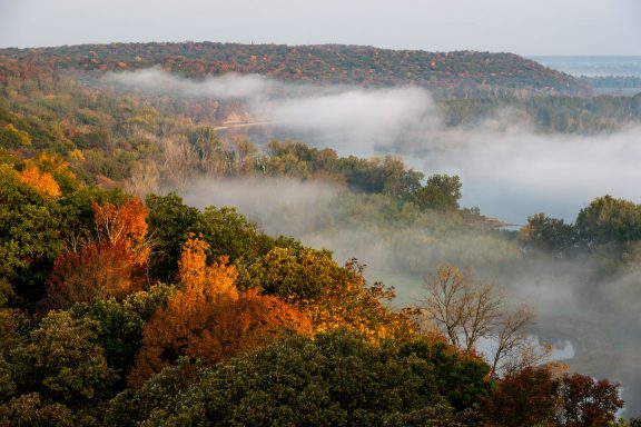 Bird's eye view of a colorful, foggy forest during autumn.