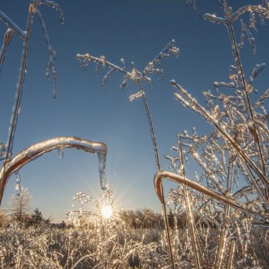 Right at sunrise, an ice-covered prairie landscape glimmers.