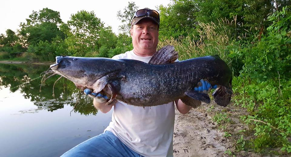 A man holds up a large flathead catfish at the edge of a sandpit lake.