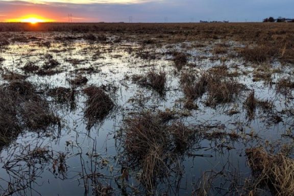 Sunset on the Rainwater Basin, a wetland in Nebraska.