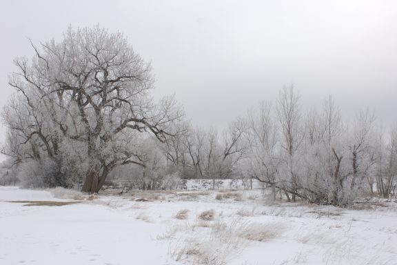 A snowy, cold winter day after a winter storm.