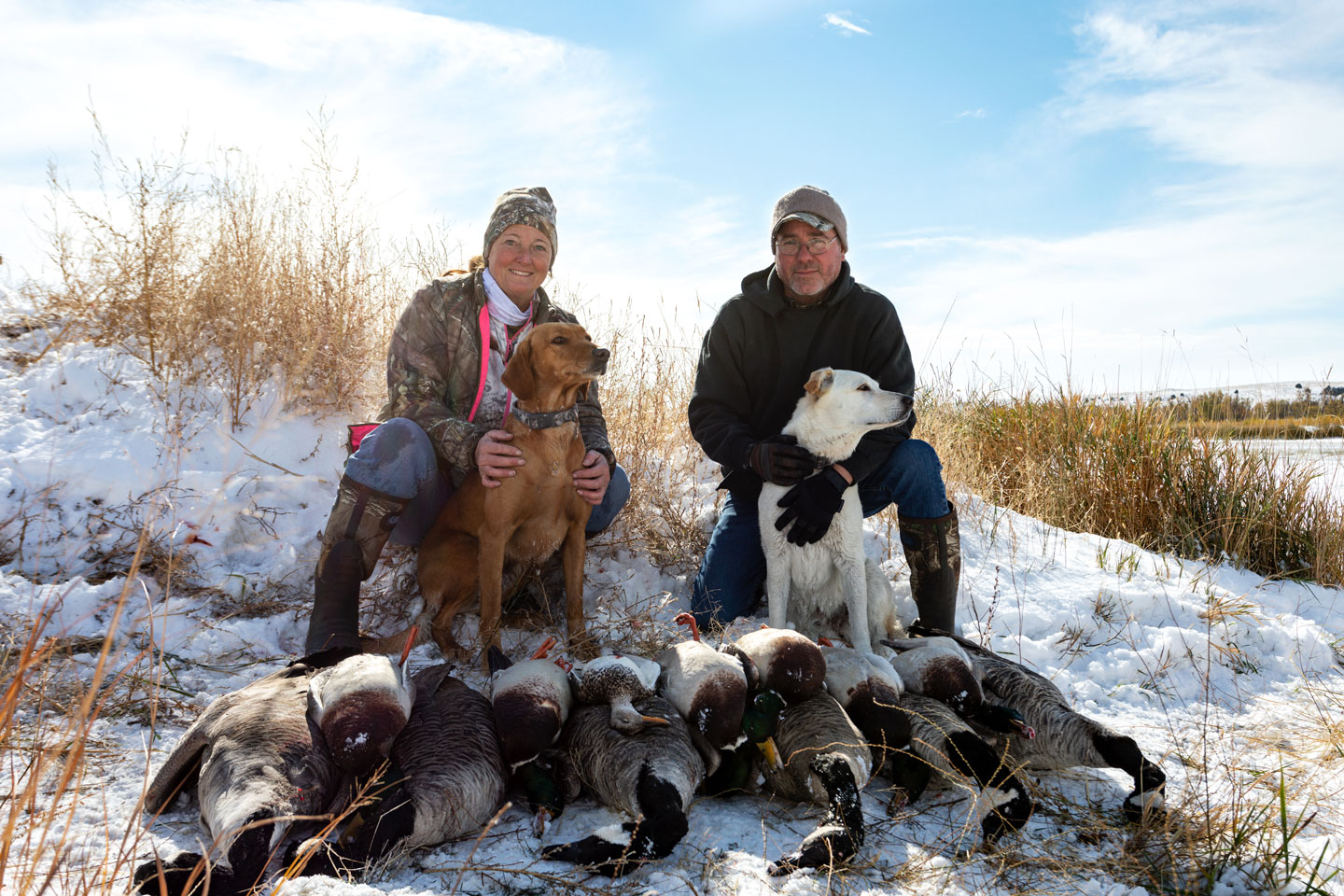 A man and a woman with two dogs waterfowl hunting.