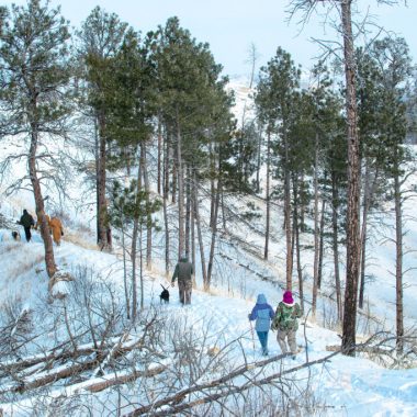 five people bundled up in winter hats and coats hike a trail through tall pines