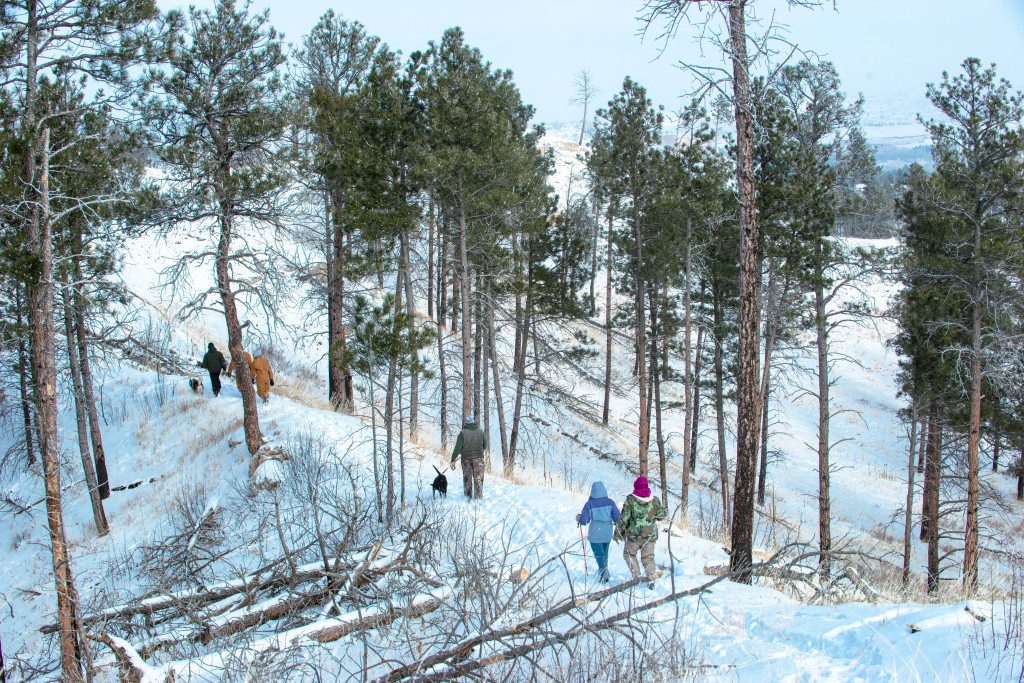 five people bundled up in winter hats and coats hike a trail through tall pines