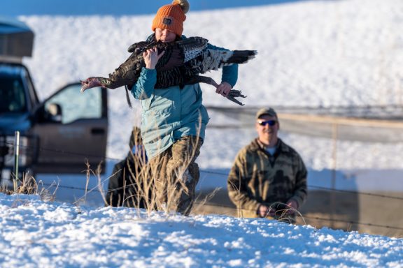 Researcher carrying a wild turkey