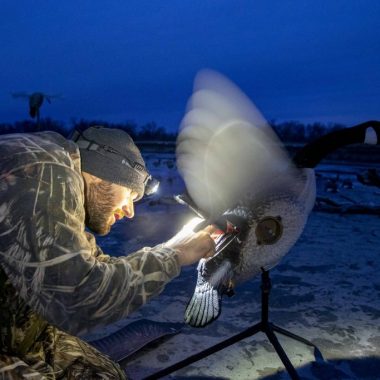 A waterfowl hunter sets up a goose decoy before dawn.