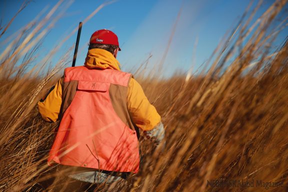 A male upland hunter walk through tall grass.