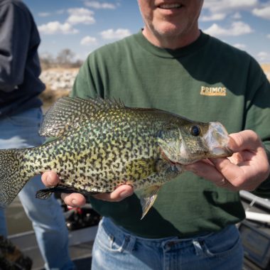 A man holds a black crappie.