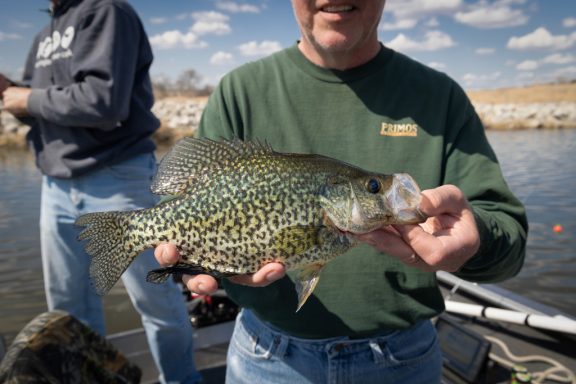 A man holds a black crappie.