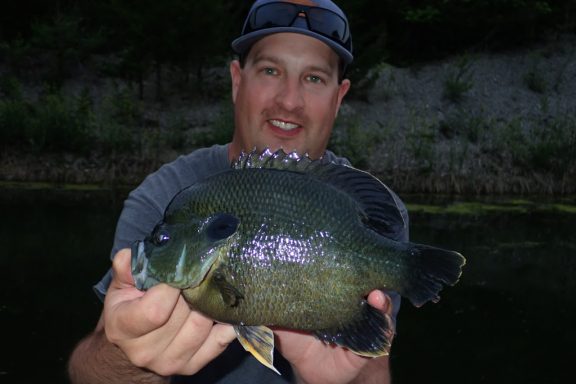 A man catches a green sunfish x bluegill hybrid.