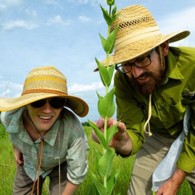 A man and woman look for insects during a citizen science event.